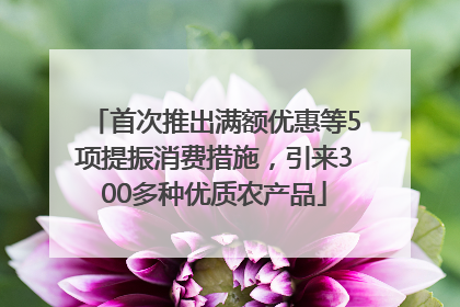 首次推出满额优惠等5项提振消费措施，引来300多种优质农产品