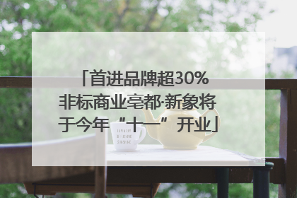 首进品牌超30% 非标商业亳都·新象将于今年“十一”开业