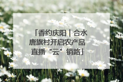 香约庆阳｜合水唐旗村开启农产品直播“云”销路