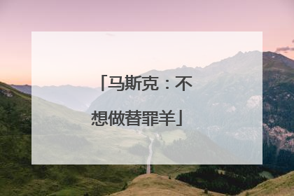 马斯克：不想做替罪羊