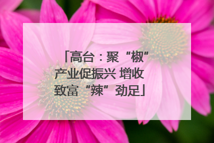 高台：聚“椒”产业促振兴 增收致富“辣”劲足