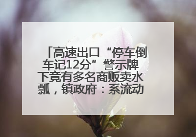 高速出口“停车倒车记12分”警示牌下竟有多名商贩卖水瓢，镇政府：系流动摊位，已多次劝离
