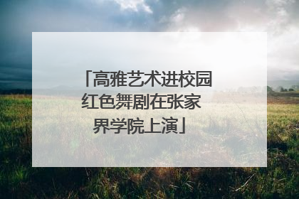 高雅艺术进校园 红色舞剧在张家界学院上演