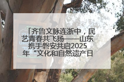 齐鲁文脉连浙中，民艺青春共飞扬——山东携手磐安共启2025年“文化和自然遗产日”系列活动