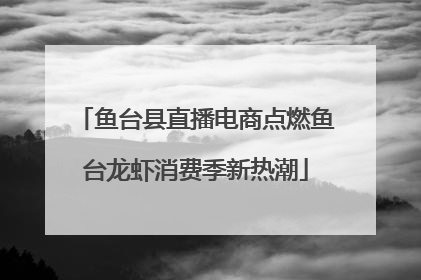 鱼台县直播电商点燃鱼台龙虾消费季新热潮
