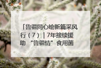 鲁疆同心绘新篇采风行（7）｜7年接续援助 “鲁疆情”食用菌从1.0走向4.0