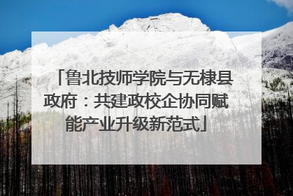鲁北技师学院与无棣县政府：共建政校企协同赋能产业升级新范式