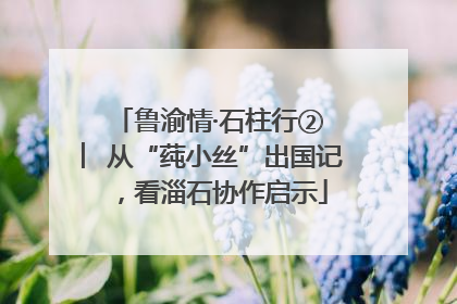 鲁渝情·石柱行② ︳从“莼小丝”出国记，看淄石协作启示