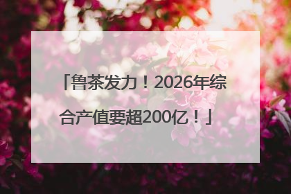 鲁茶发力！2026年综合产值要超200亿！