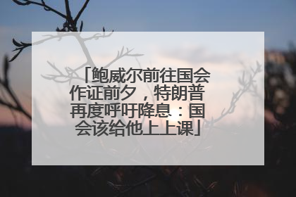 鲍威尔前往国会作证前夕，特朗普再度呼吁降息：国会该给他上上课