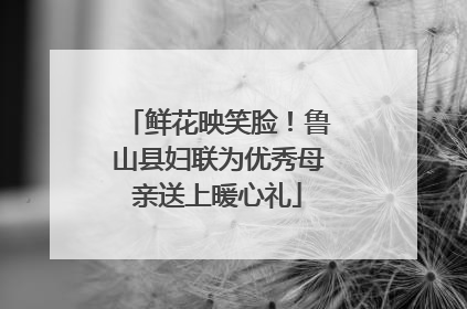 鲜花映笑脸！鲁山县妇联为优秀母亲送上暖心礼