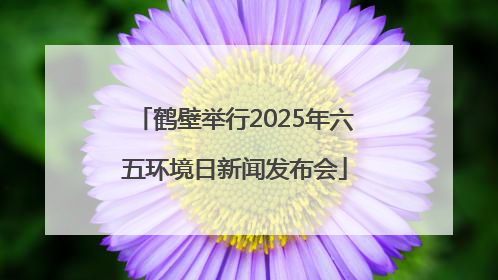 鹤壁举行2025年六五环境日新闻发布会