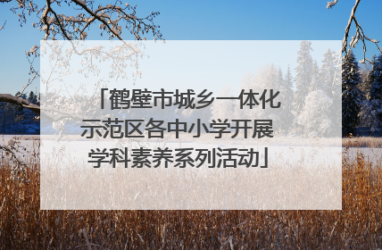 鹤壁市城乡一体化示范区各中小学开展学科素养系列活动