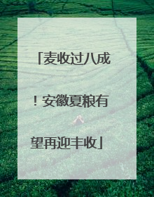 麦收过八成！安徽夏粮有望再迎丰收