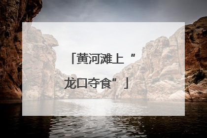 黄河滩上“龙口夺食”
