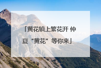 黄花镇上繁花开 仲夏“黄花”等你来