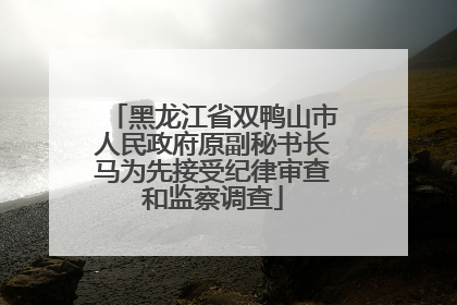 黑龙江省双鸭山市人民政府原副秘书长马为先接受纪律审查和监察调查