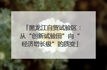 黑龙江自贸试验区:从“创新试验田”向“经济增长极”的质变