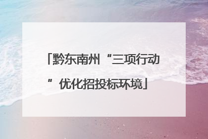 黔东南州“三项行动”优化招投标环境