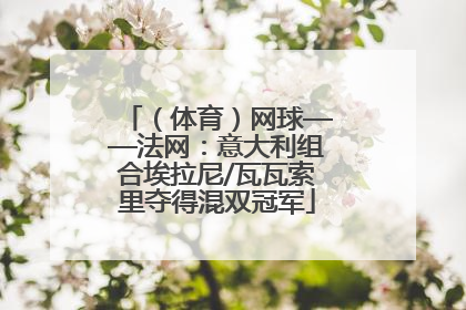 （体育）网球——法网：意大利组合埃拉尼/瓦瓦索里夺得混双冠军