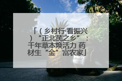 （乡村行·看振兴）“正北芪之乡”：千年草本焕活力 药材生“金”富农家