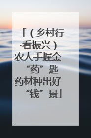 （乡村行·看振兴）农人手握金“药”匙 药材种出好“钱”景