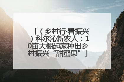 （乡村行·看振兴）科尔沁新农人：10亩大棚起家种出乡村振兴“甜蜜果”
