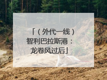 （外代一线）智利巴拉斯港：龙卷风过后