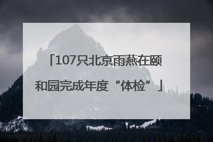 107只北京雨燕在颐和园完成年度“体检”