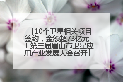10个卫星相关项目签约，金额超73亿元！第三届眉山市卫星应用产业发展大会召开