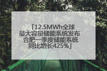 12.5MWh全球最大容量储能系统发布 合肥一季度储能系统同比增长425%
