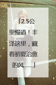 2.5公里慢道！丰泽这里，藏着初夏治愈的风……