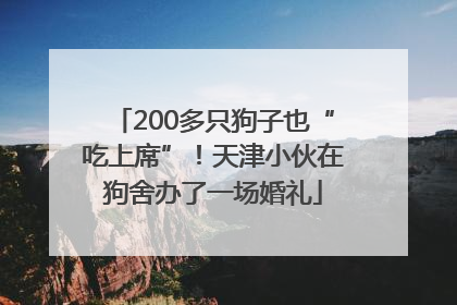 200多只狗子也“吃上席”！天津小伙在狗舍办了一场婚礼