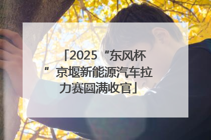 2025“东风杯”京堰新能源汽车拉力赛圆满收官