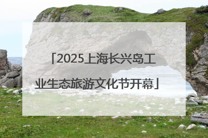 2025上海长兴岛工业生态旅游文化节开幕