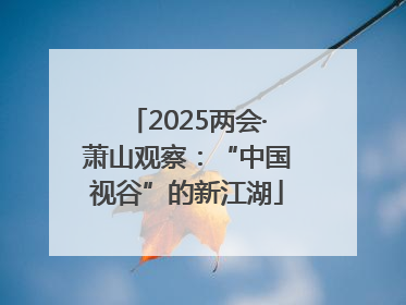 2025两会·萧山观察：“中国视谷”的新江湖
