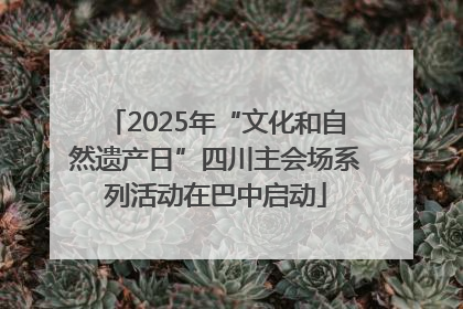 2025年“文化和自然遗产日”四川主会场系列活动在巴中启动