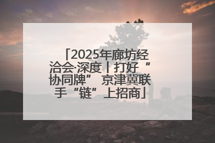 2025年廊坊经洽会·深度丨打好“协同牌” 京津冀联手“链”上招商