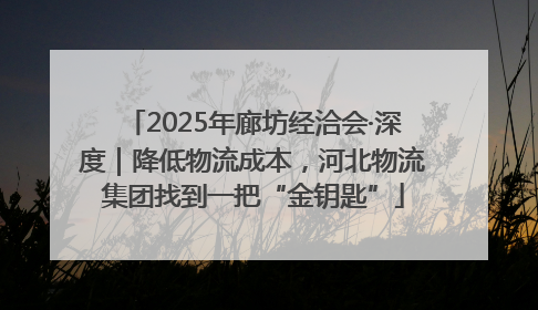 2025年廊坊经洽会·深度｜降低物流成本，河北物流集团找到一把“金钥匙”
