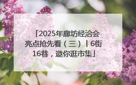 2025年廊坊经洽会亮点抢先看（三）丨6街16巷，邀你逛市集