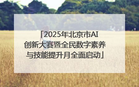 2025年北京市AI创新大赛暨全民数字素养与技能提升月全面启动