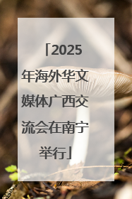 2025年海外华文媒体广西交流会在南宁举行