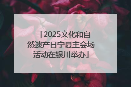 2025文化和自然遗产日宁夏主会场活动在银川举办