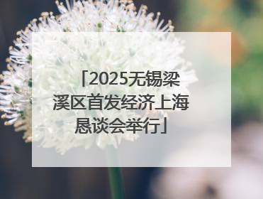 2025无锡梁溪区首发经济上海恳谈会举行