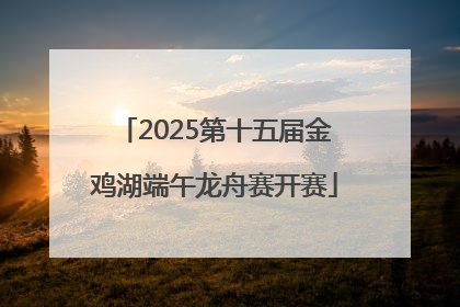 2025第十五届金鸡湖端午龙舟赛开赛