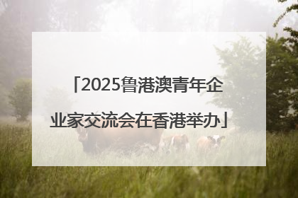 2025鲁港澳青年企业家交流会在香港举办
