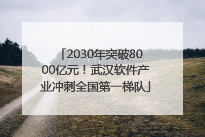 2030年突破8000亿元！武汉软件产业冲刺全国第一梯队