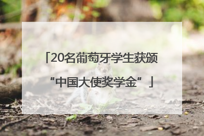 20名葡萄牙学生获颁“中国大使奖学金”