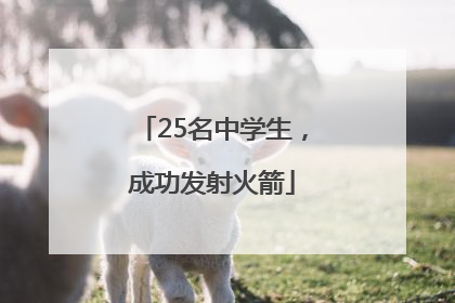 25名中学生，成功发射火箭