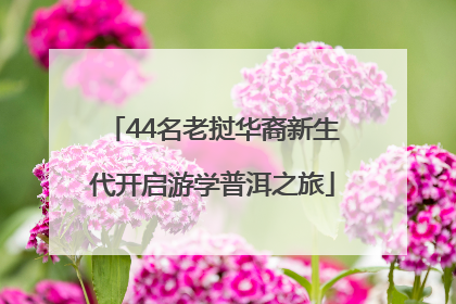 44名老挝华裔新生代开启游学普洱之旅